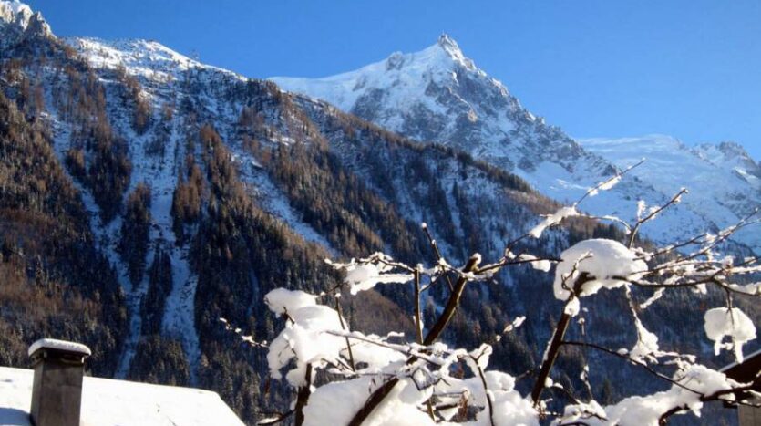 Ginabelle2B, chamonix accommodation, summer & winter season rental