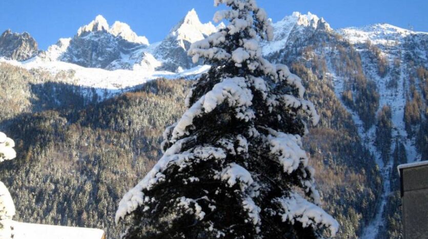 Ginabelle2B, chamonix accommodation, summer & winter season rental