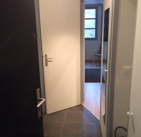 Jonquilles 229, chamonix accommodation, summer & winter season rental