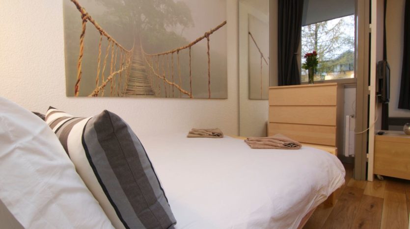 Jonquilles 317, chamonix accommodation, summer & winter season rental