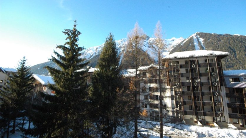 Jonquilles 317, chamonix accommodation, summer & winter season rental