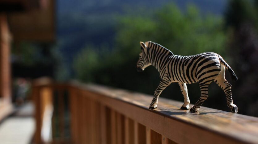 rent a chalet in Chamonix for the winter and summer seasons