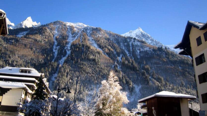 Winter and summer seasonal apartment in Chamonix