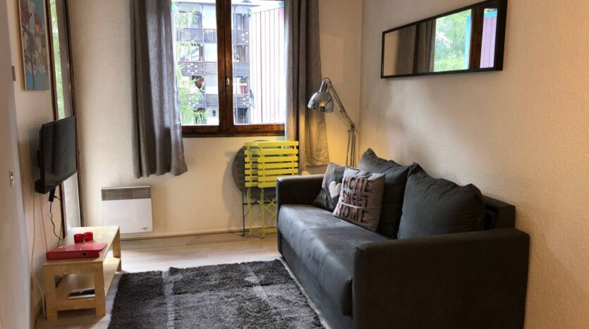 Winter and summer seasonal apartment in Chamonix