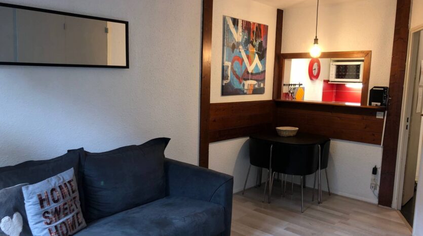 Winter and summer seasonal apartment in Chamonix