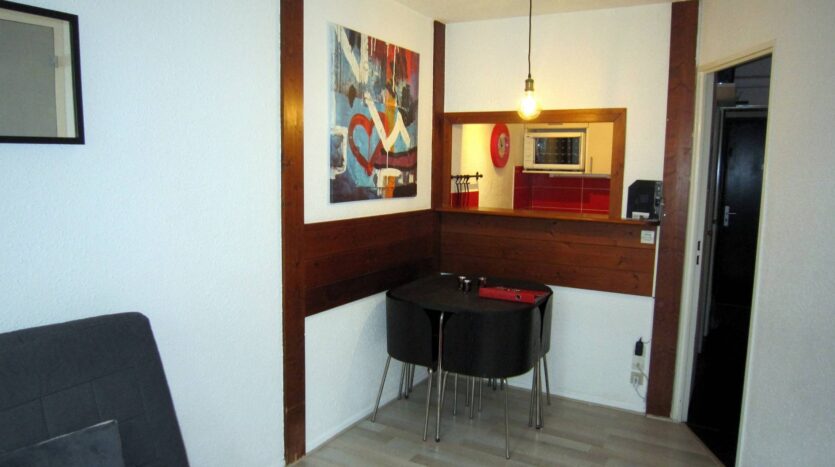 Winter and summer seasonal apartment in Chamonix