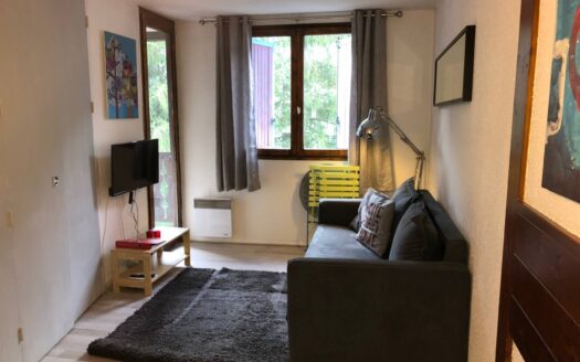 Winter and summer seasonal apartment in Chamonix