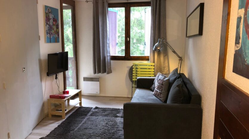 Winter and summer seasonal apartment in Chamonix