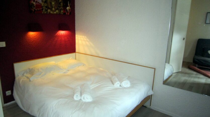Winter and summer seasonal apartment in Chamonix