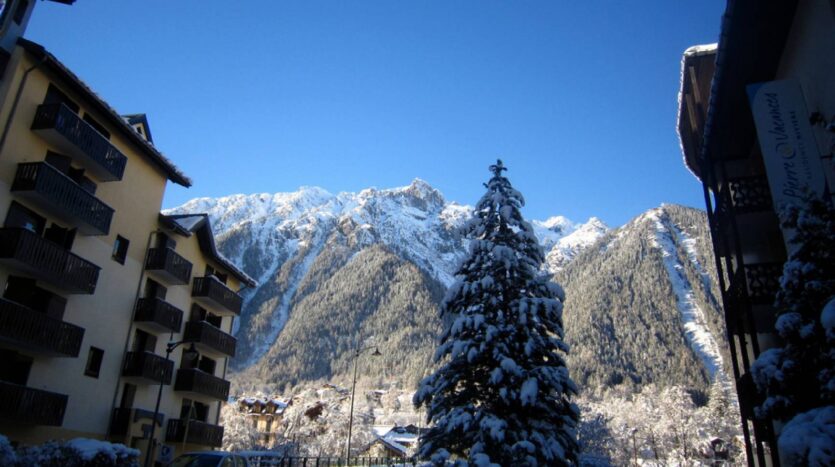 Winter and summer seasonal apartment in Chamonix