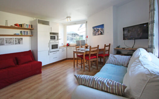 1 bedroom winter season apartment in Chamonix
